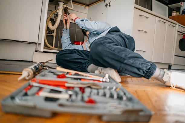 Best Clogged Drain Plumber  in Shady Hills, FL